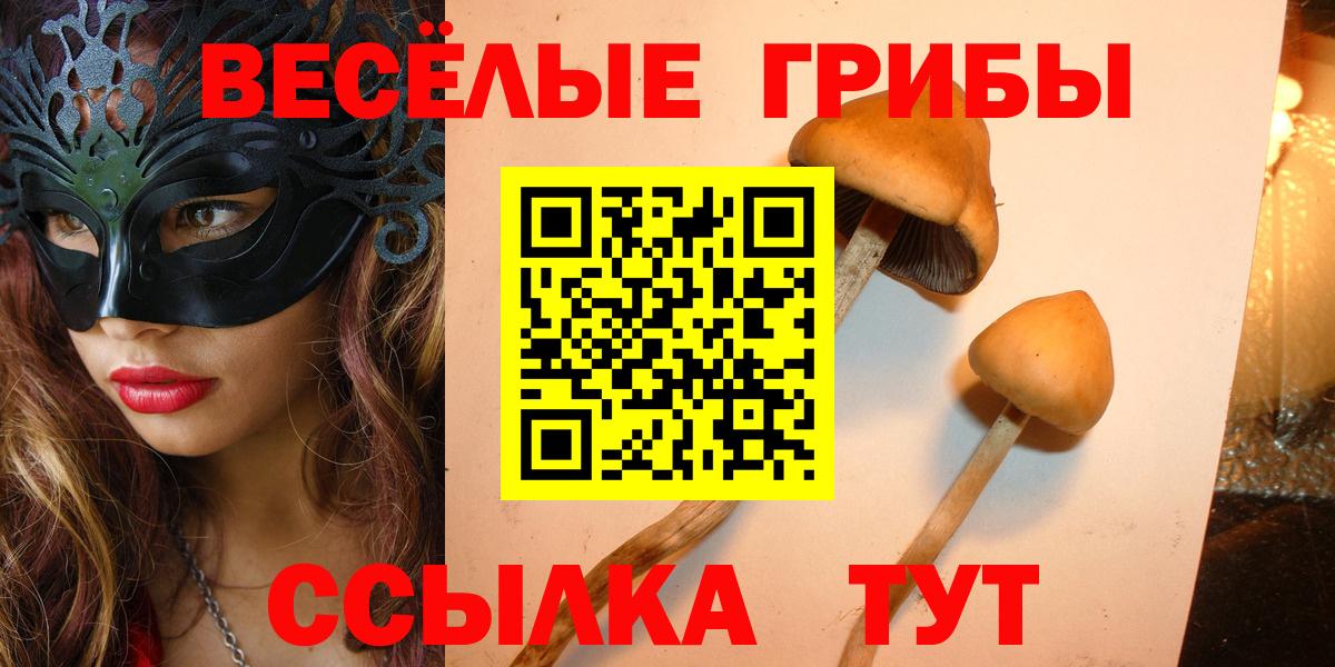 Псилоцибиновые грибы мухоморы Кропоткин