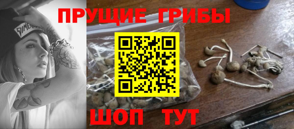 Галлюциногенные грибы Psilocybine cubensis  Галлюциногенные грибы GOLDEN TEACHER  Вход с VPN  Кропоткин 
